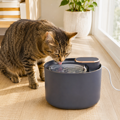 NourishPaw™ Happy Pet Essentials