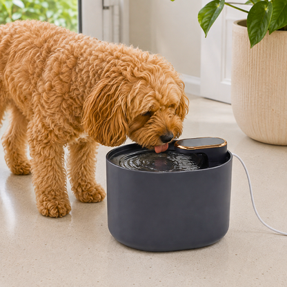 NourishPaw™ Happy Pet Essentials